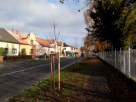 výsadba stromů ul. Pražská 3.jpg